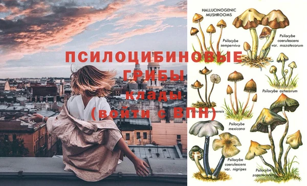 прущие грибы Балабаново