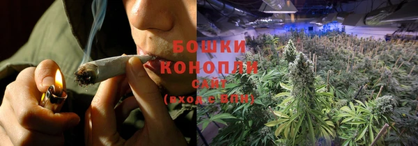 шишки Осинники