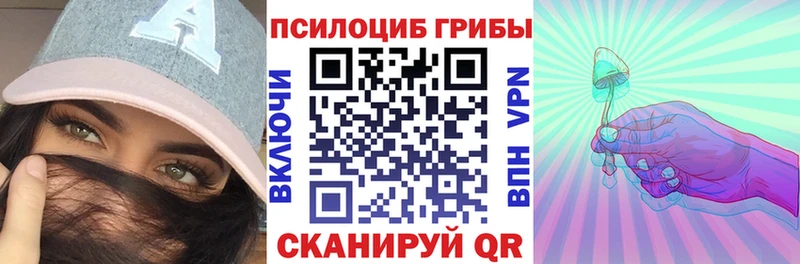 Псилоцибиновые грибы Psilocybine cubensis  Суздаль 