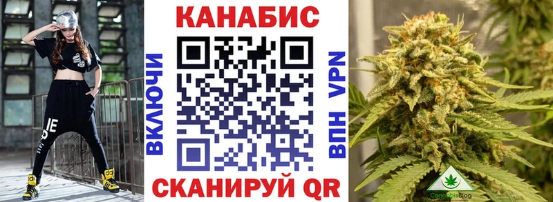 Бошки Шишки Amnesia  Суздаль 